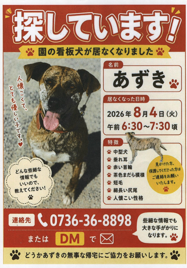 迷子