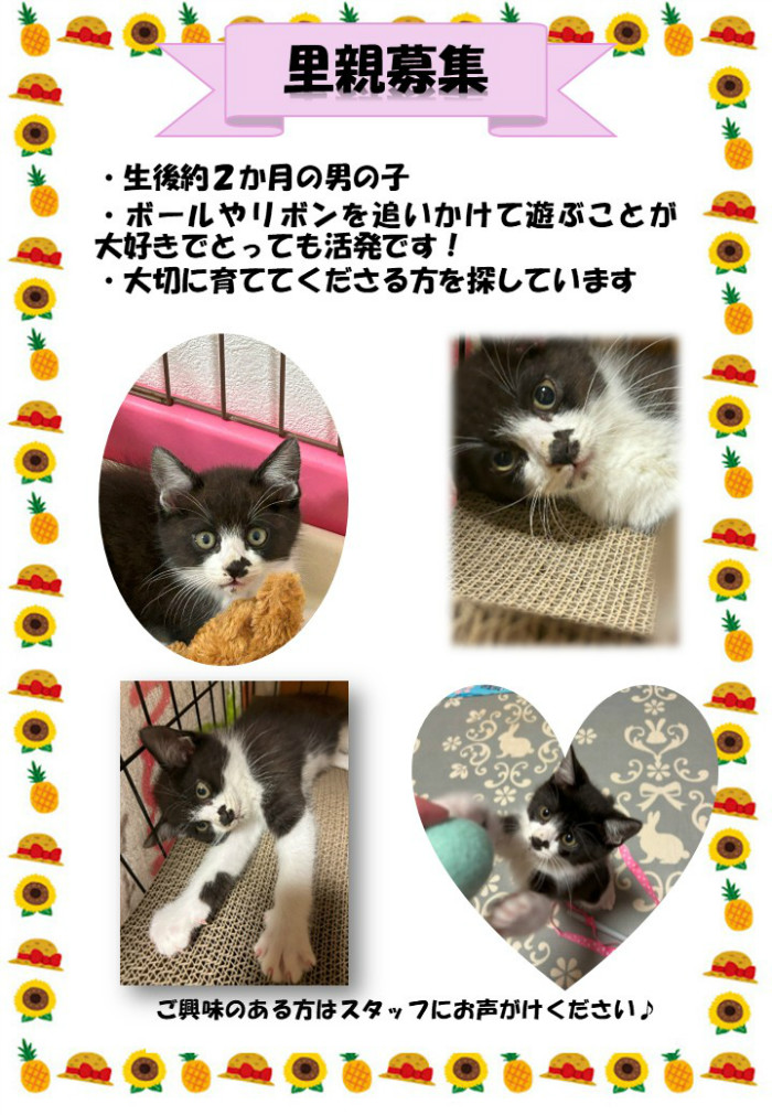 里親募集