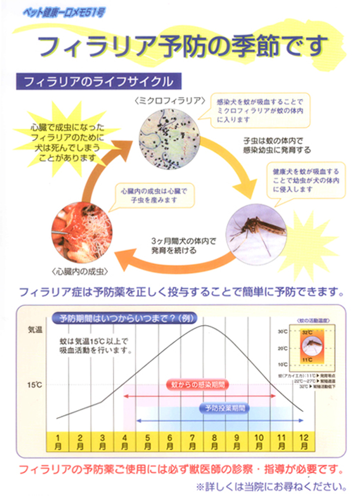 フィラリアの予防について