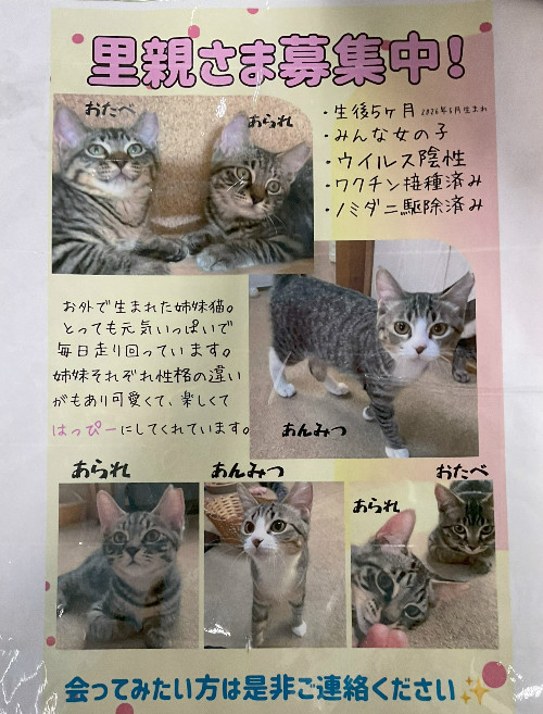 迷子