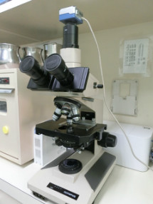 顕微鏡（デジタルマイクロスコープ）