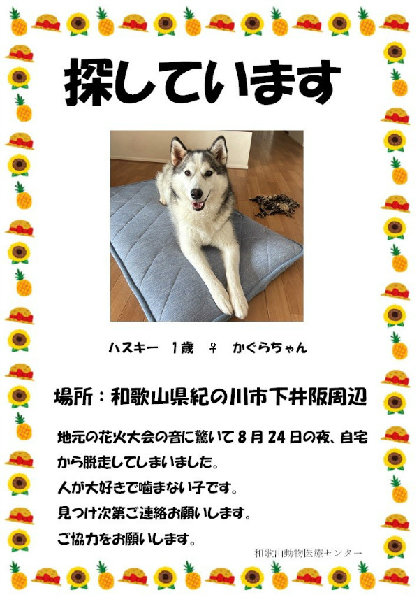 迷子